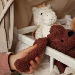 Sleeping Hero - Den trofaste hund