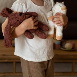 Sleeping Hero - Den trofaste hund