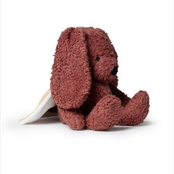 Sleeping Hero - Den trofaste hund