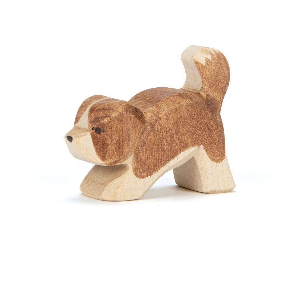 Ostheimer Hvalp - leger - Sanktbernhardshund