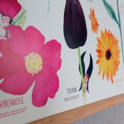 CIHA - Plakat - Farverne og blomsterne