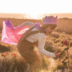 Sarah's Silks - Krone - Blossom Crown