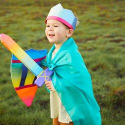 Sarah's Silks - Krone - Rainbow Crown