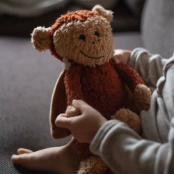 Sleeping Hero - Den legesyge abe