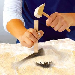 SES Creative - Udhug af T-rex