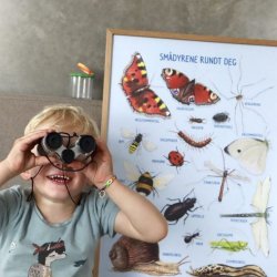 CIHA - Plakat - Smdyr omkring dig