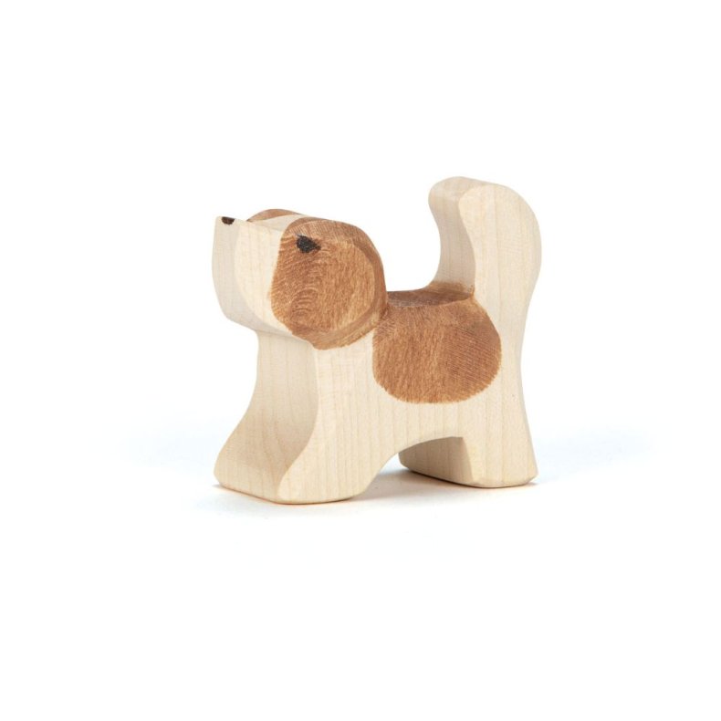 Ostheimer Hvalp - Sanktbernhardshund