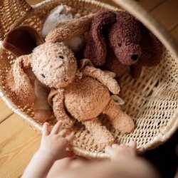 Sleeping Hero - Den lyttende kanin