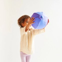 Sarah's Silks - Ballonbold - Butterfly Balloon Ball