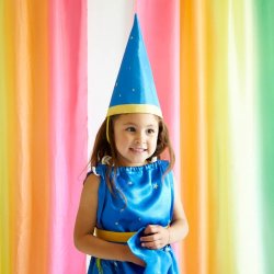 Sarah's Silks - Star Hat