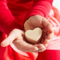 Sarah's Silks - Faldskrm - Jordbr