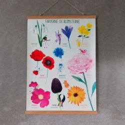 CIHA - Plakat - Farverne og blomsterne