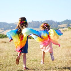 Sarah's Silks - Silkehrbnd - Rainbow Garland