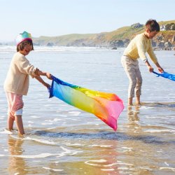 Sarah's Silks - Krone - Rainbow Crown