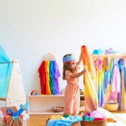 Sarah's Silks - Krone - Rainbow Crown