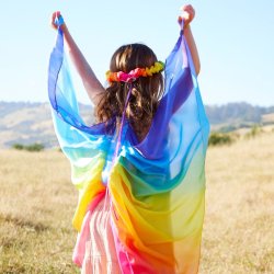 Sarah's Silks - Vinger - Rainbow Wings