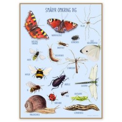 CIHA - Plakat - Smdyr omkring dig