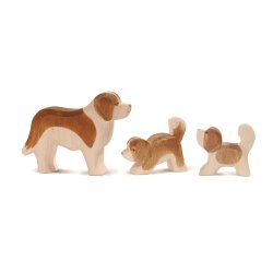 Ostheimer Hvalp - leger - Sanktbernhardshund